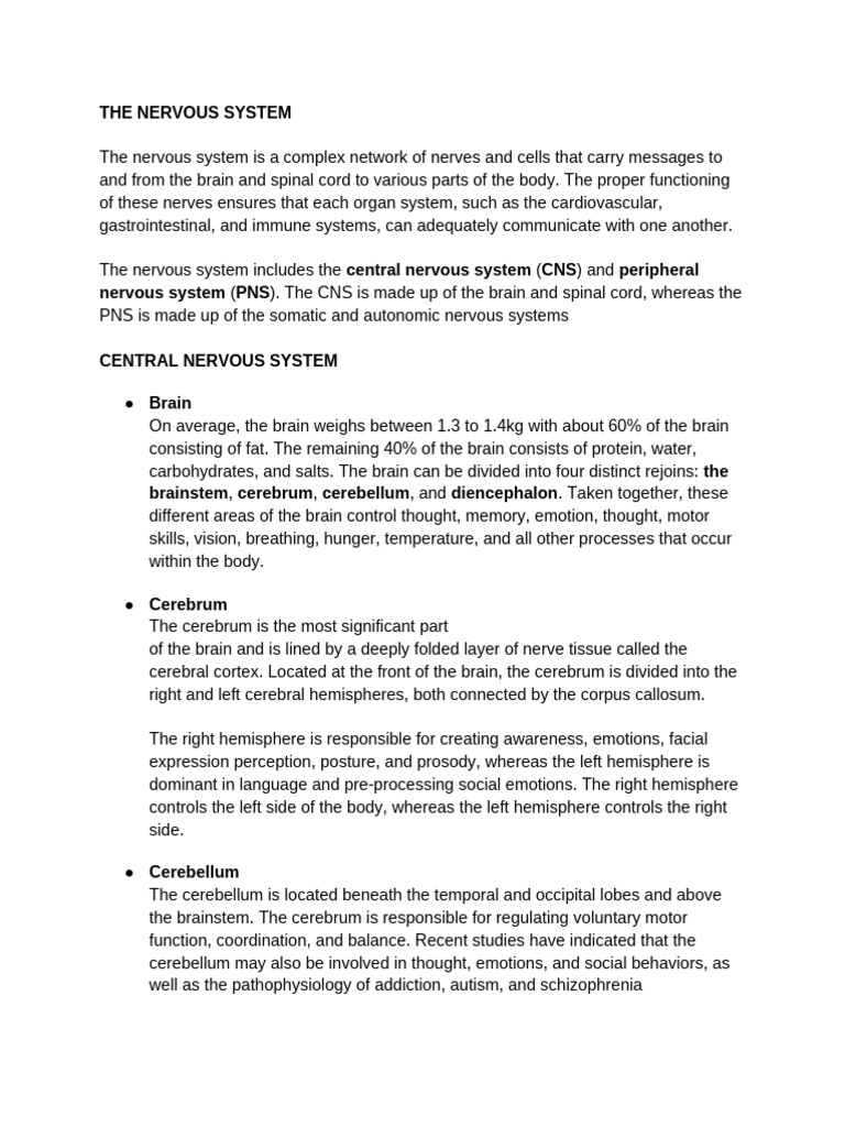 Untitled Document | PDF | Central Nervous System | Cerebrum