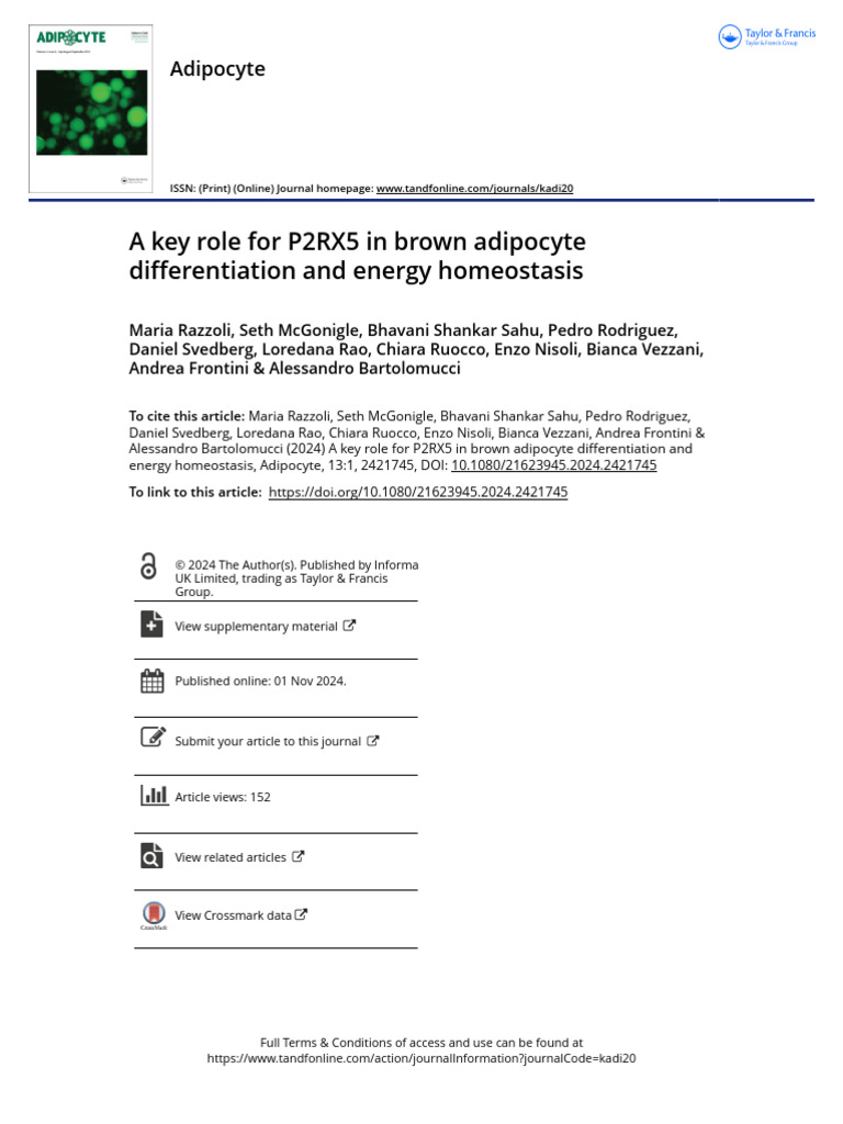 P2RX5's Role in Brown Adipocyte Function | PDF | Adipose Tissue | Biology