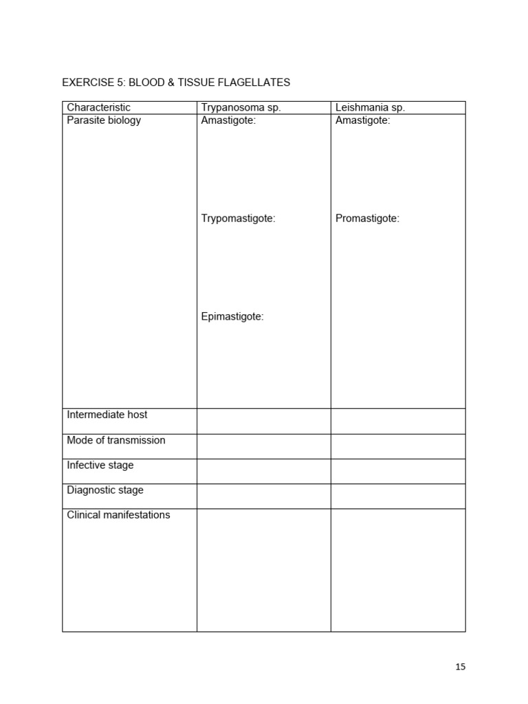 Gloriani nisa marianne exercise 5 pdf