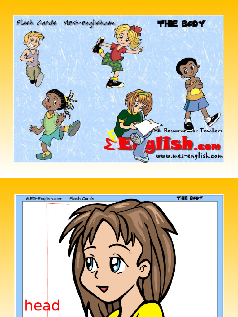 Partes Do Corpo Humano em Inglês | PDF