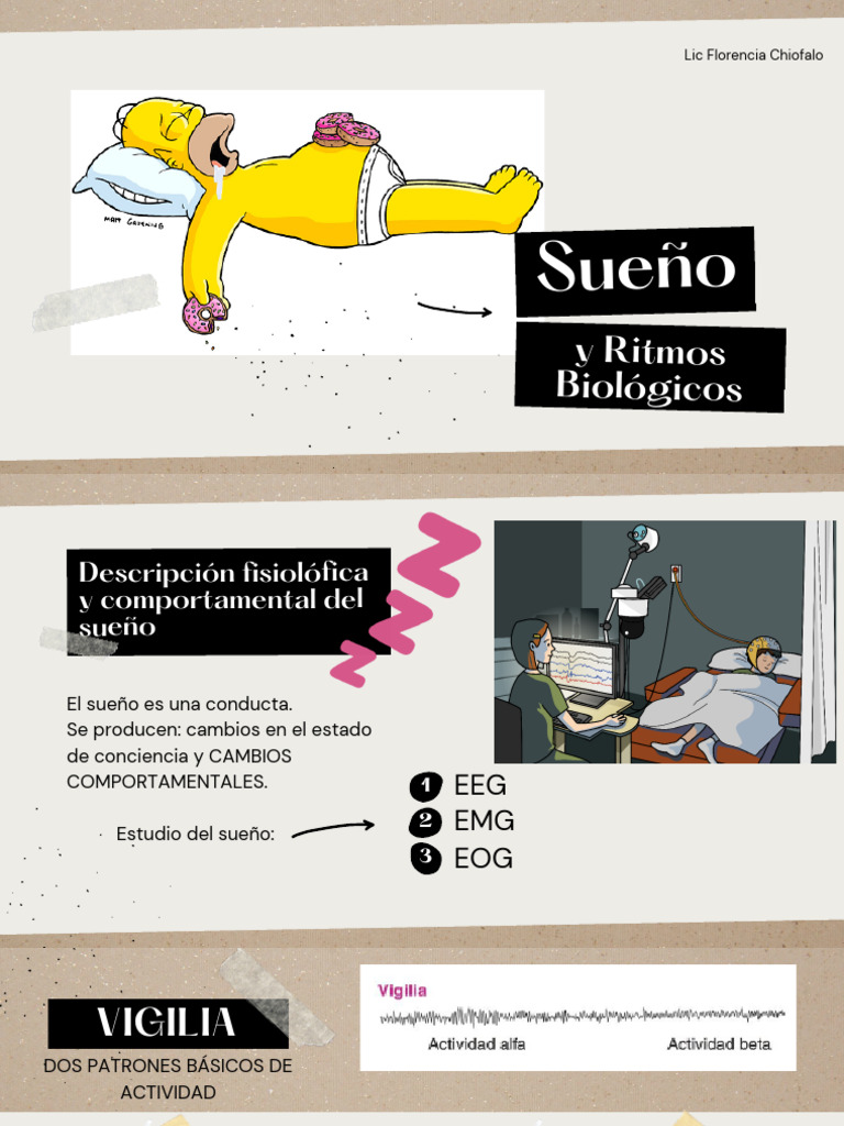 Esquema de las fases del sueño | PDF | Dormir | Movimiento rápido del ...