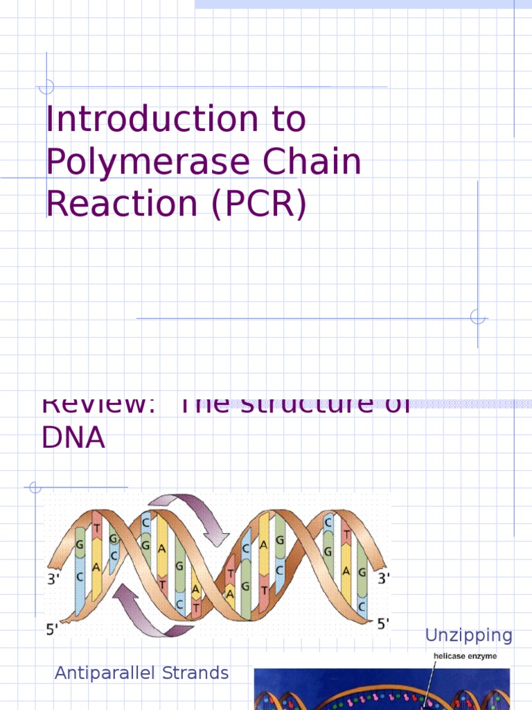 Introduction To Polymerase Chain Reaction (PCR) PDF Polymerase