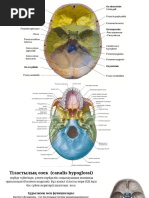 Үйдегі жалаңаш суреттер