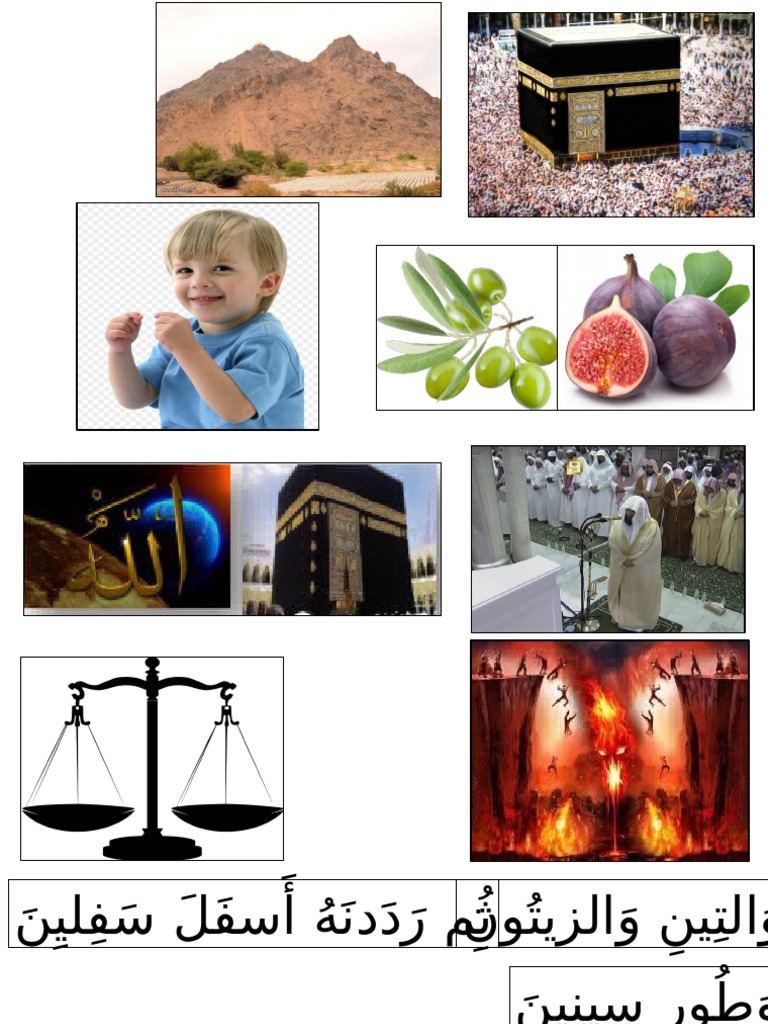 دانيه | PDF