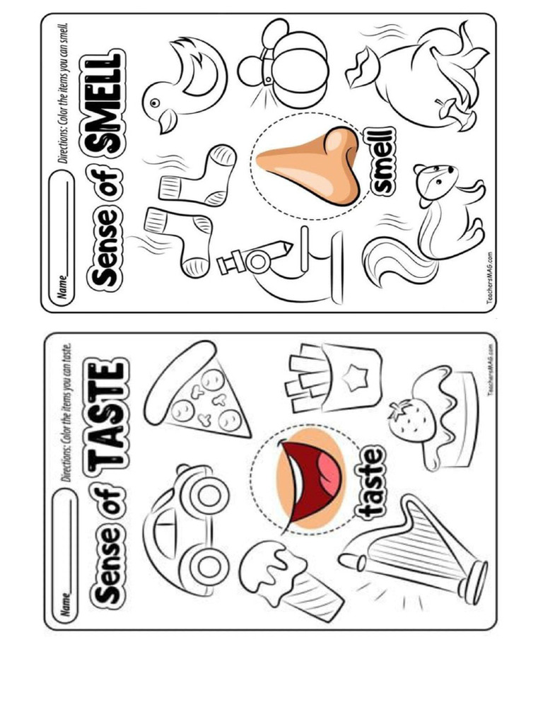 SENSE | PDF