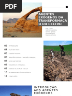 Erosão Hídrica e Formação de Ravinas | PDF | Erosão | Geomorfologia