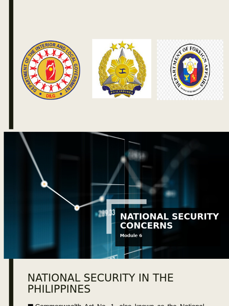 Module 6 national security concerns 1 pdf