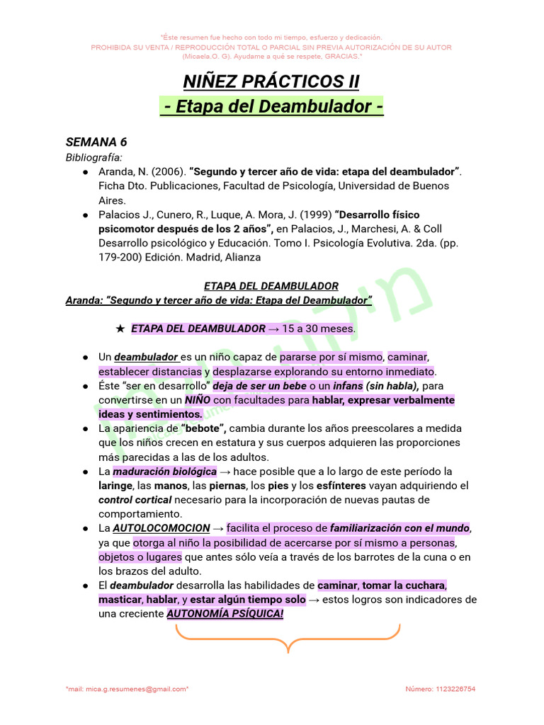 Desarrollo en la Etapa del Deambulador | PDF | Socialización ...