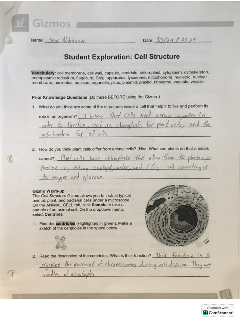 Cell Structure Virtual Lab Pdf
