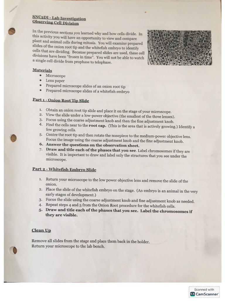 3.5 Lab Investigation | PDF