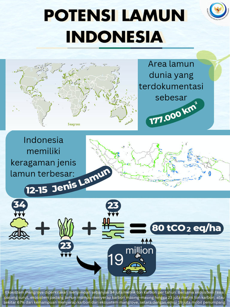 Potensi Lamun Indonesia dalam Penyerapan Karbon | PDF