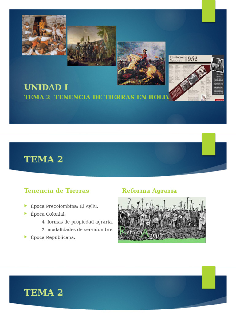 Tenencia de Tierras en Bolivia | PDF