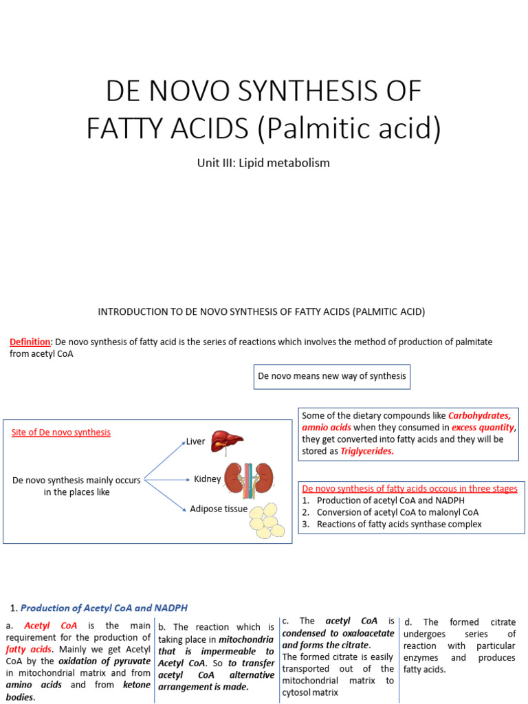De Novo Synthesis of Palmitic Acid | PDF | Biosynthesis | Fatty Acid