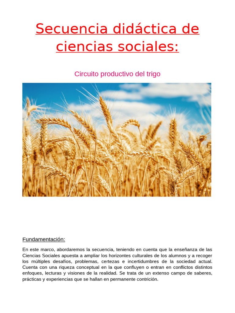 Circuito Productivo del Trigo para Niños | PDF | Agua | Fertilizante
