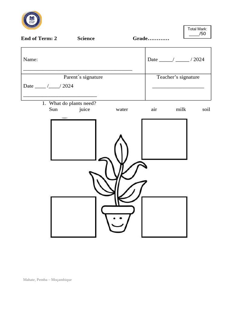 Grade 1 Science Term 2 Worksheet | PDF