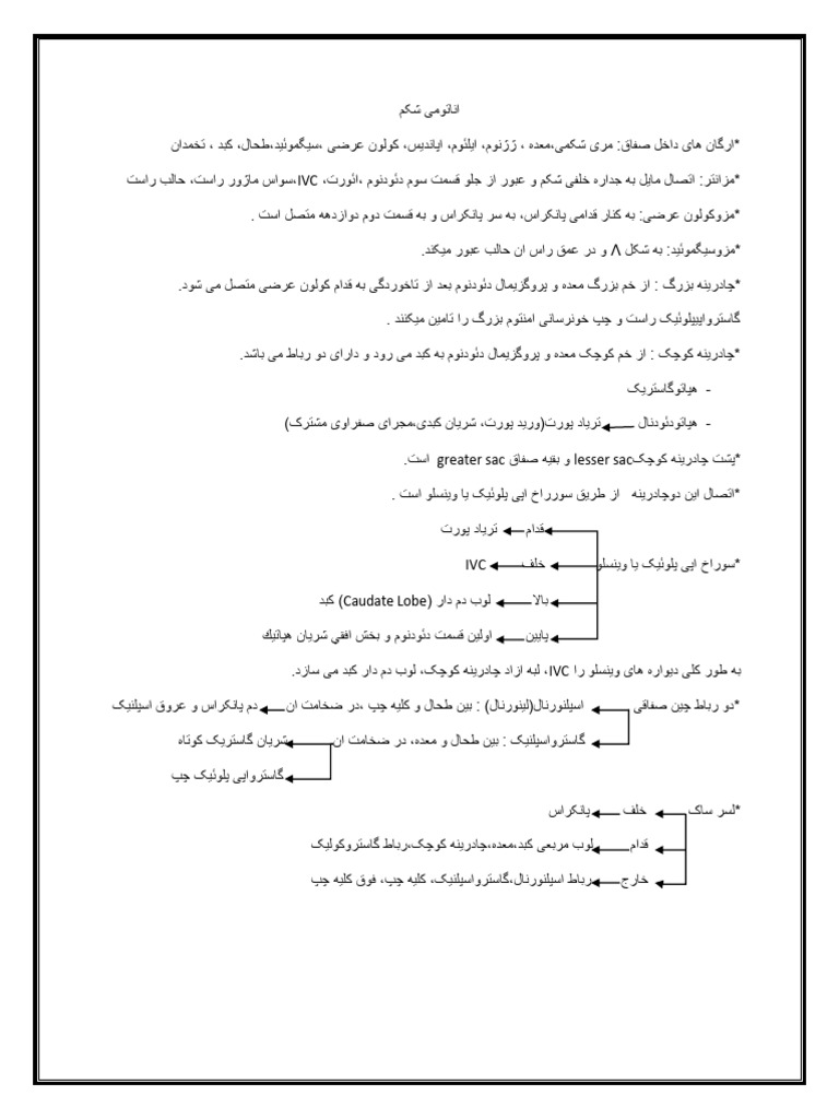 اناتومی شکم | PDF