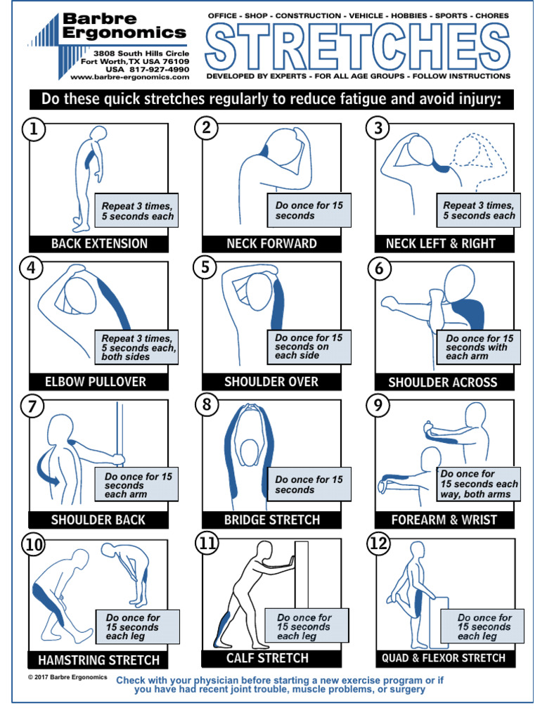 Essential Stretches for Injury Prevention | PDF | Elbow | Shoulder