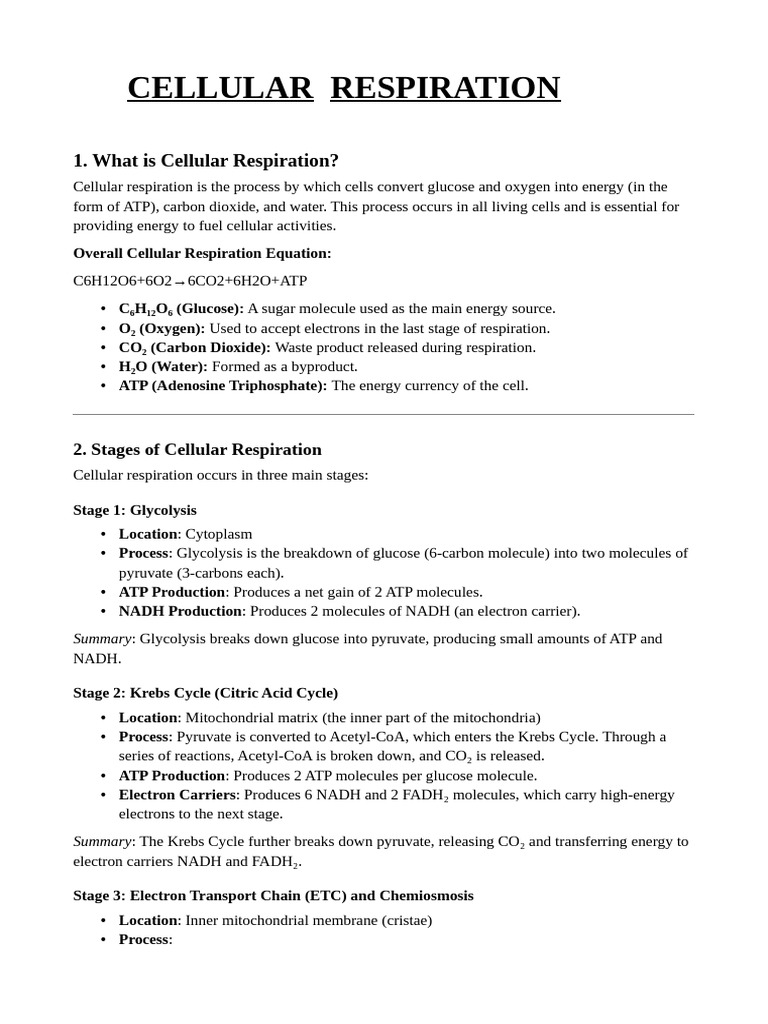 Simple Cellular Respiration Overview | PDF | Cellular Respiration ...