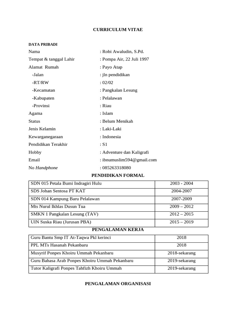 Curriculum Vitae Robi Awaludin | PDF