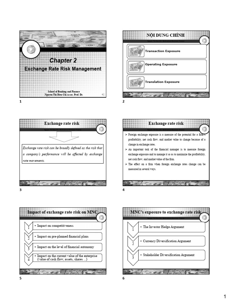 Chapter 2.exchange Rate Risk Management | PDF | Hedge (Finance ...
