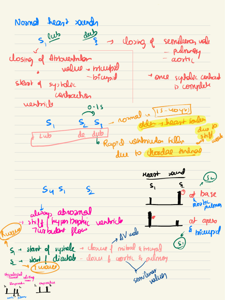 Heart Sounds | PDF | Physiology | Internal Medicine