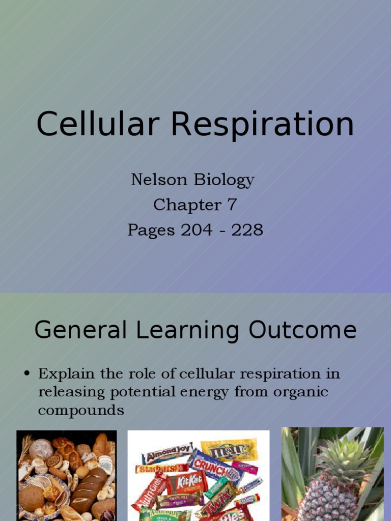 Cellular Respiration: Nelson Biology Pages 204 - 228 | PDF | Cellular ...
