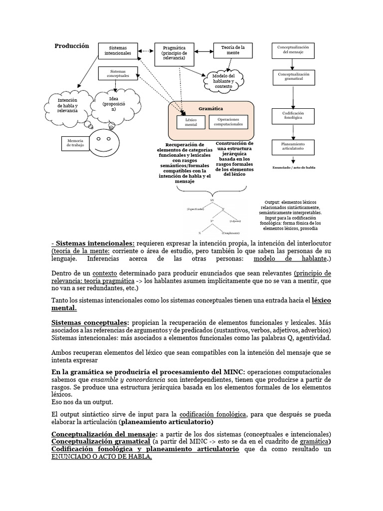 Modelo MINC (Producción) | PDF | Léxico | Sintaxis