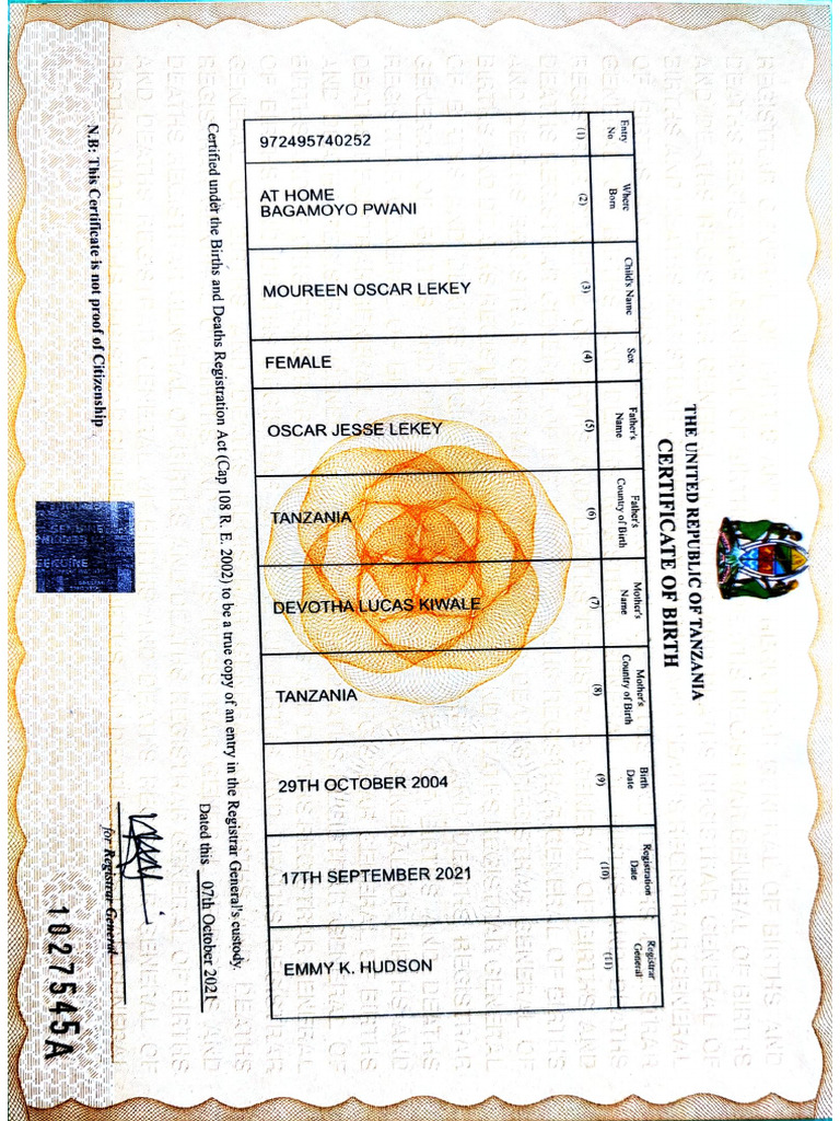 U S BIRTH CERTIFICATE PDF visual data 4