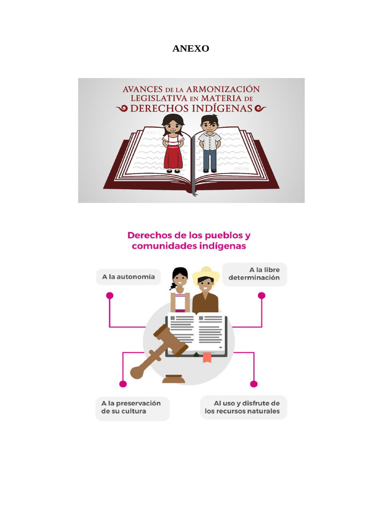 Derechos Indígenas en Paraguay | PDF | Justicia | Crimen y violencia