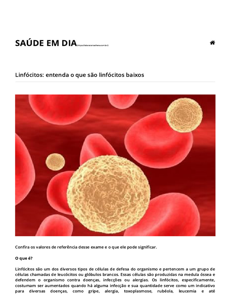 Linfócitos - Entenda o Que São Linfócitos Baixos - LABORATÓRIO ATHENA ...