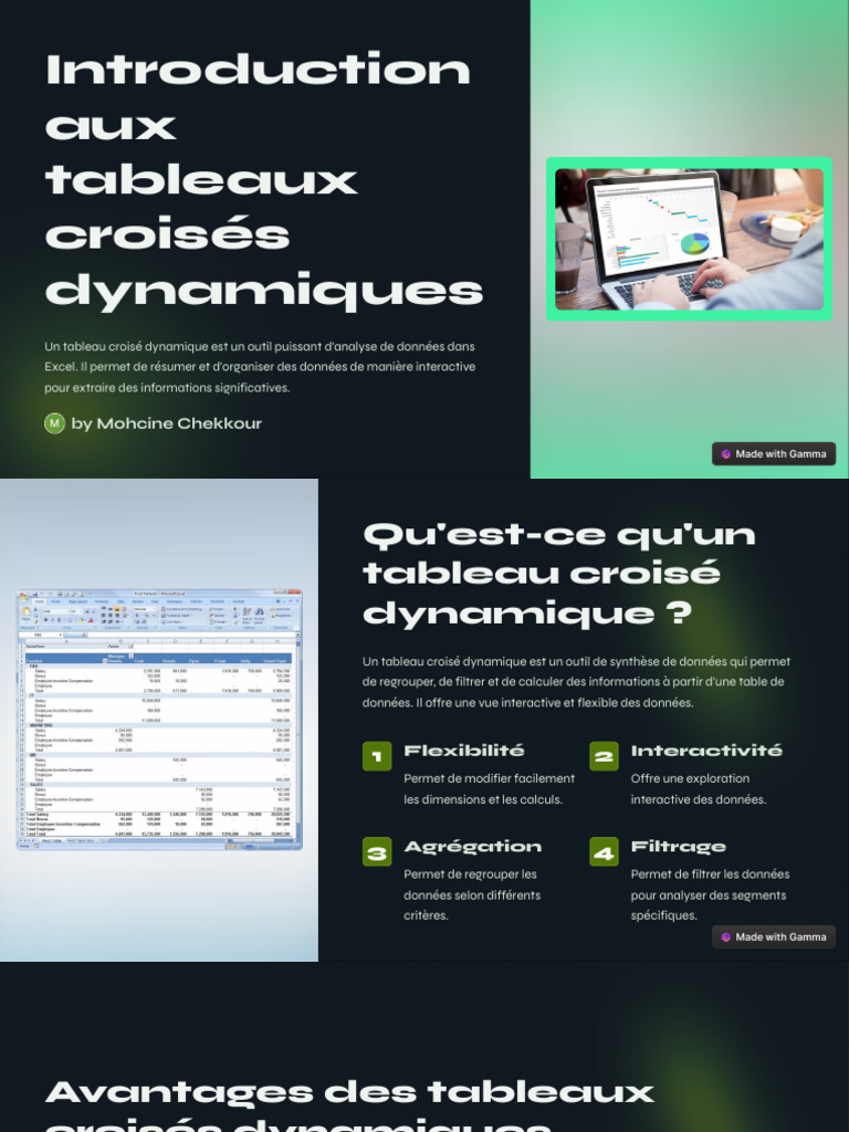 Introduction aux tableaux croisés dynamiques | PDF | Microsoft Excel ...