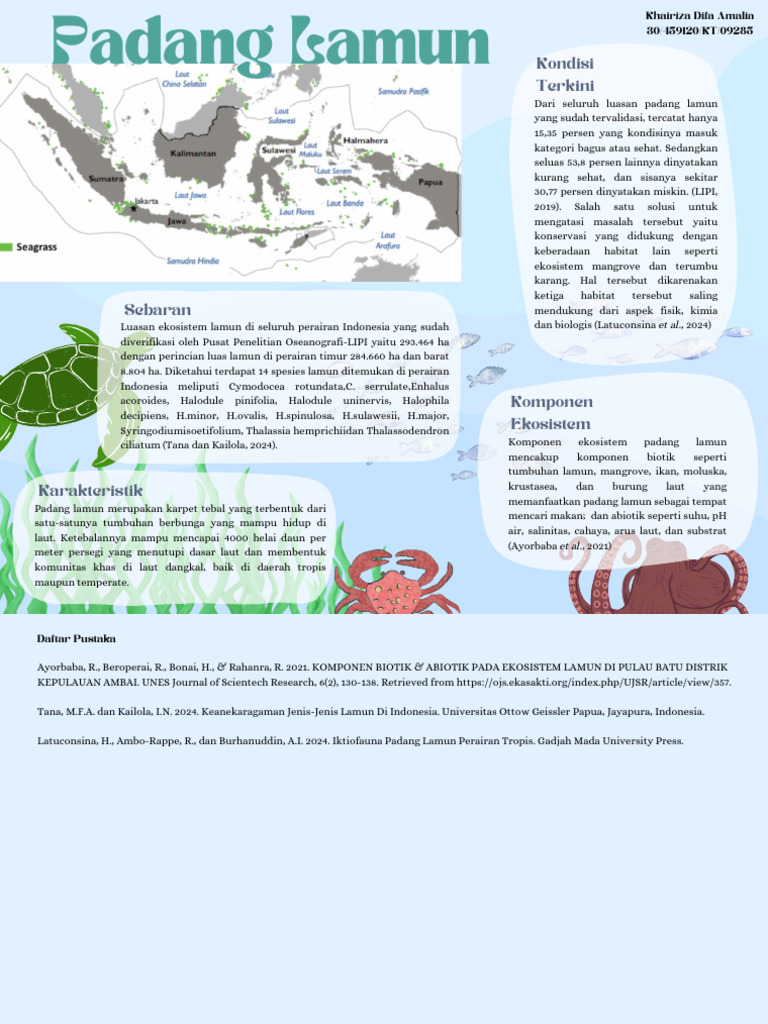 Luasan dan Kondisi Padang Lamun Indonesia | PDF