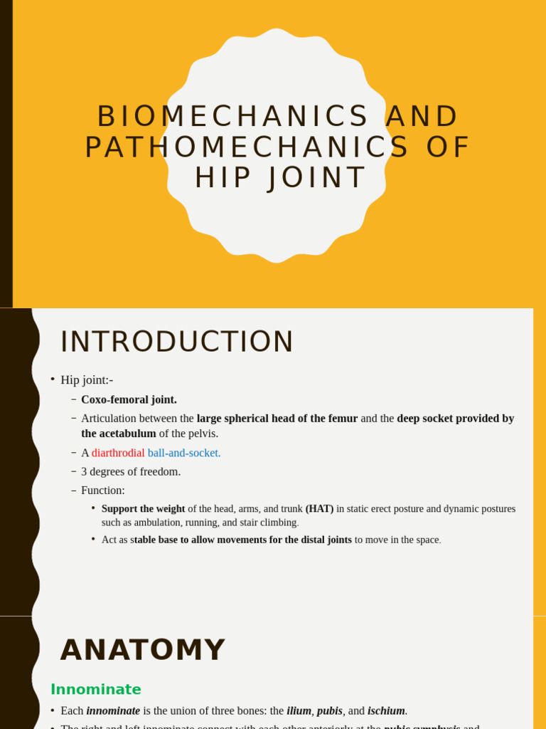 Biomechanics and Pathomechanics of Hip Joint | PDF | Pelvis | Hip