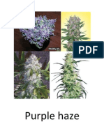 Weed Variety