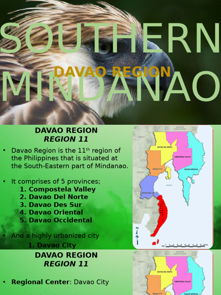 Davao Region Overview and Highlights | PDF | Philippines
