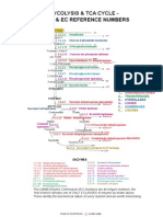 Tca Cycle Enzymes