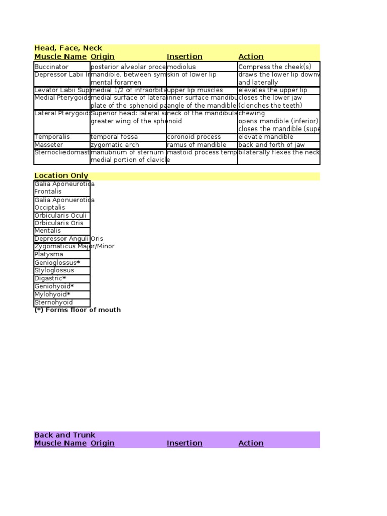 Muscle Origin, Insertion and Action Table | Elbow | Knee