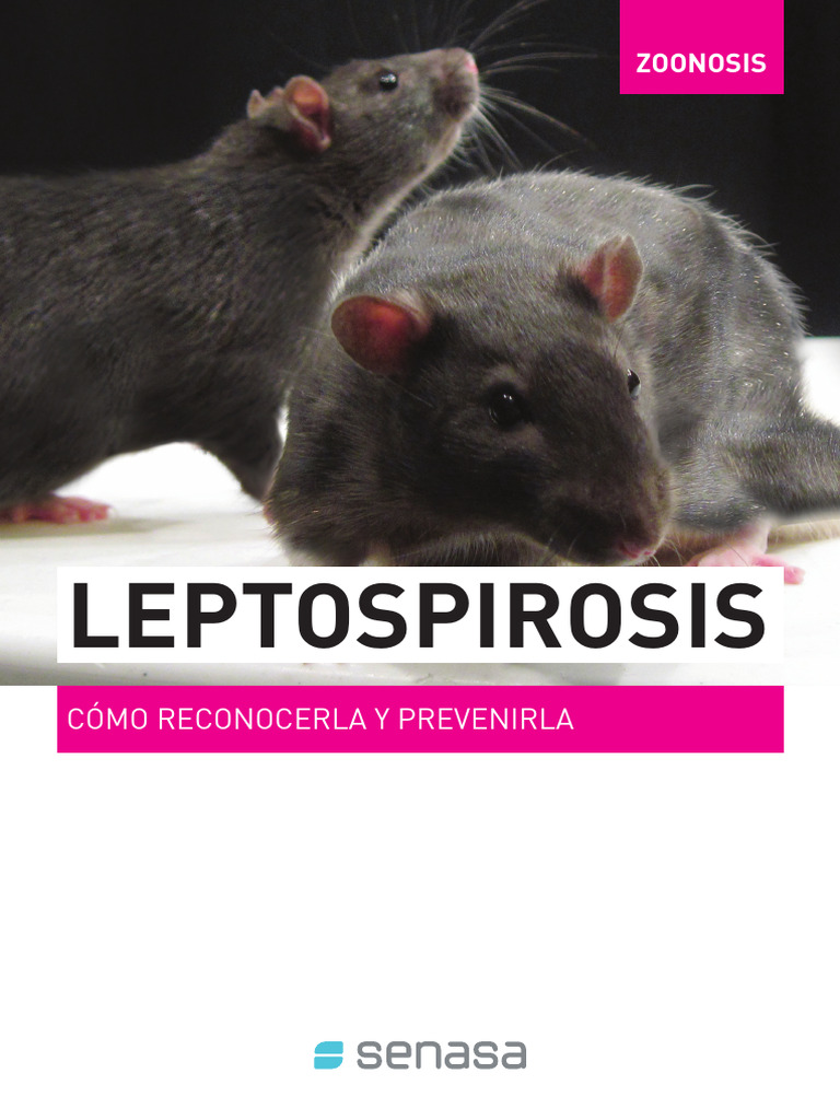 Curated visual reference: Lepto Spiros Is Pdf Enfermedades Y Trastornos Photo Inspiration