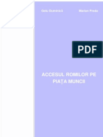 Accesul Romilor Pe Piata Muncii