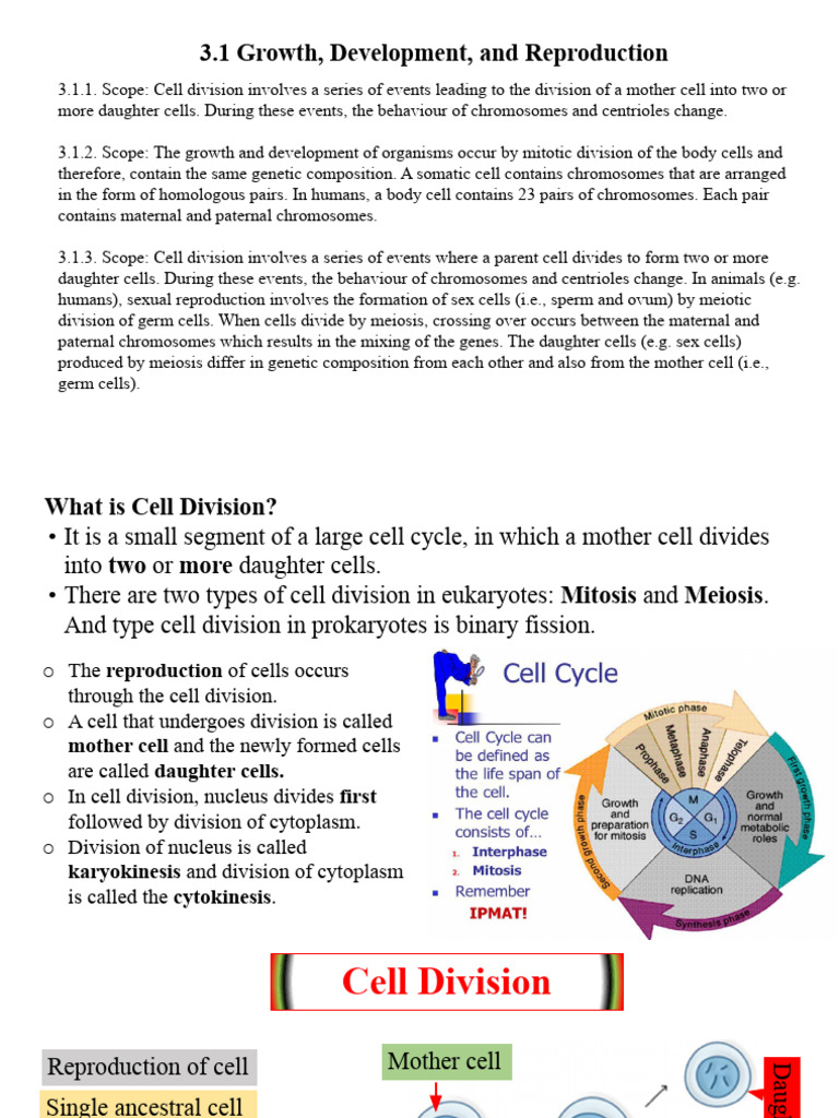 Cell Division - Mitosis - Meiosis | PDF | Mitosis | Meiosis