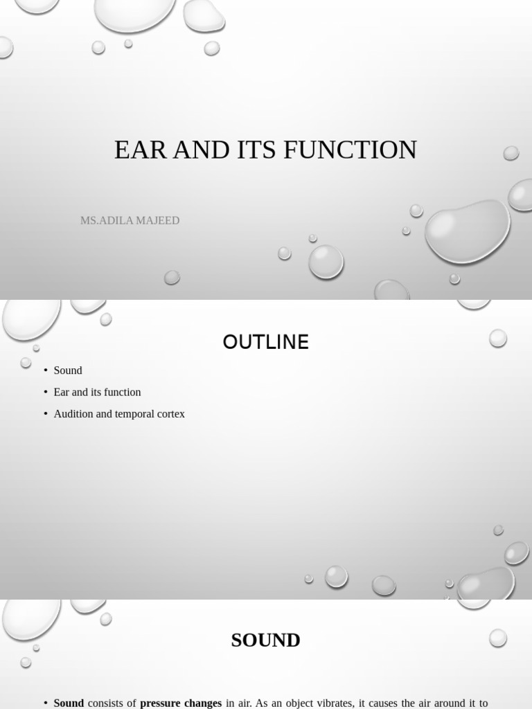 Ear and Auditory Cortex | PDF | Ear | Auditory System