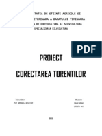 Proiect Torenti Pavel Adrian