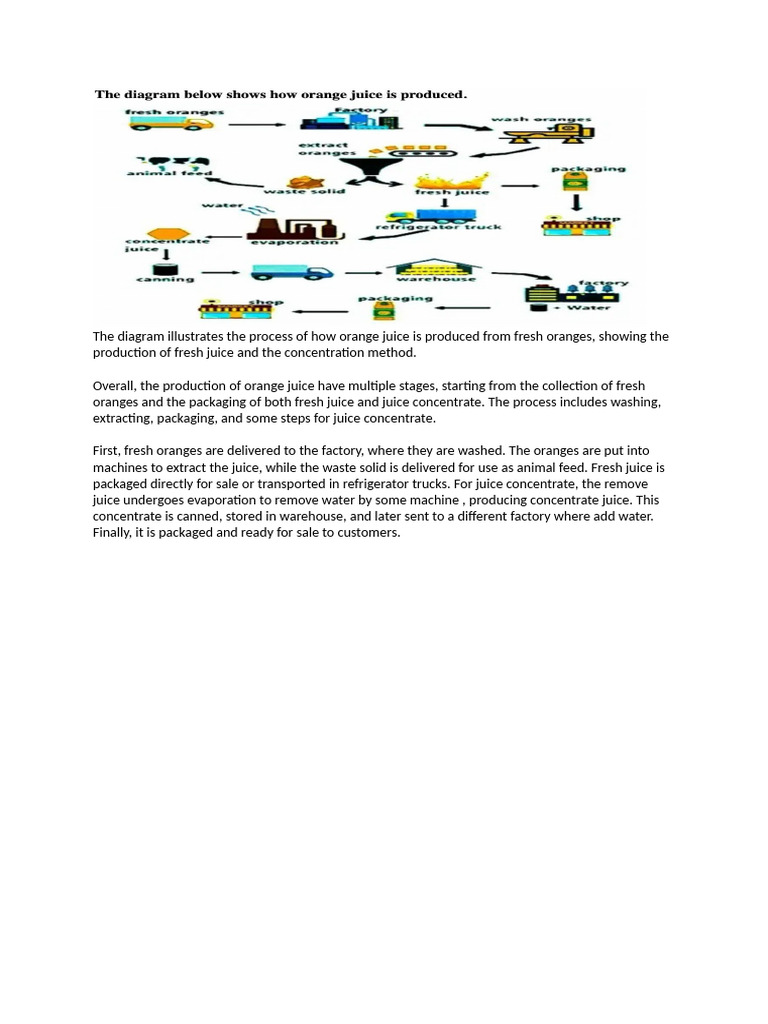 Orange Process M | PDF | Cooking, Food & Wine