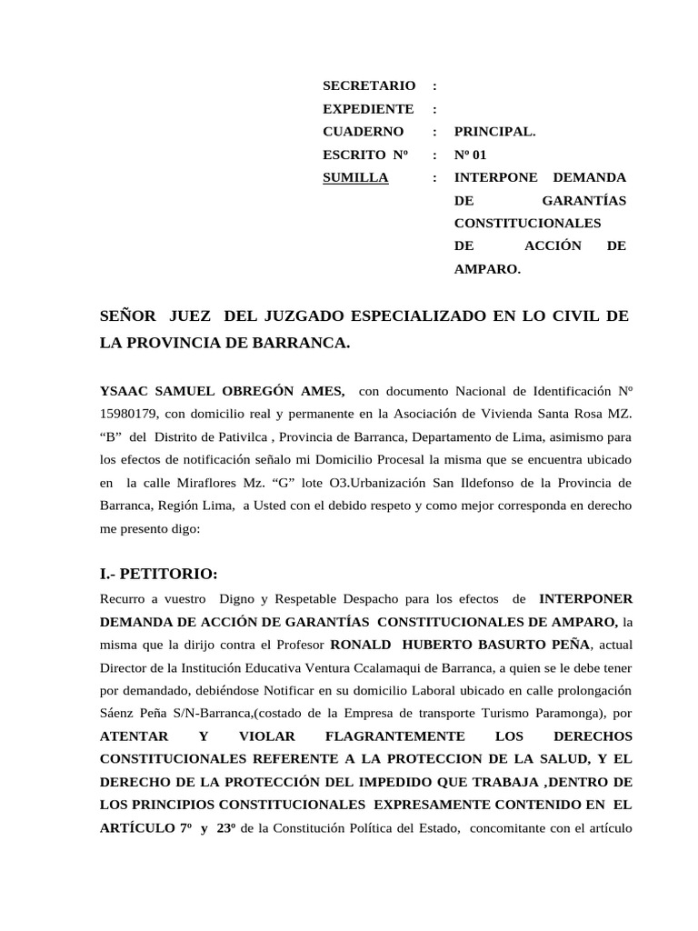 Accion de Amparo 03-04-09. | PDF | Demanda judicial | Caso de ley