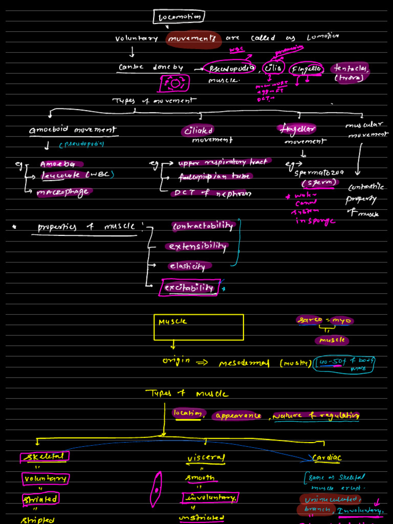 Locomotion Movement Pdf