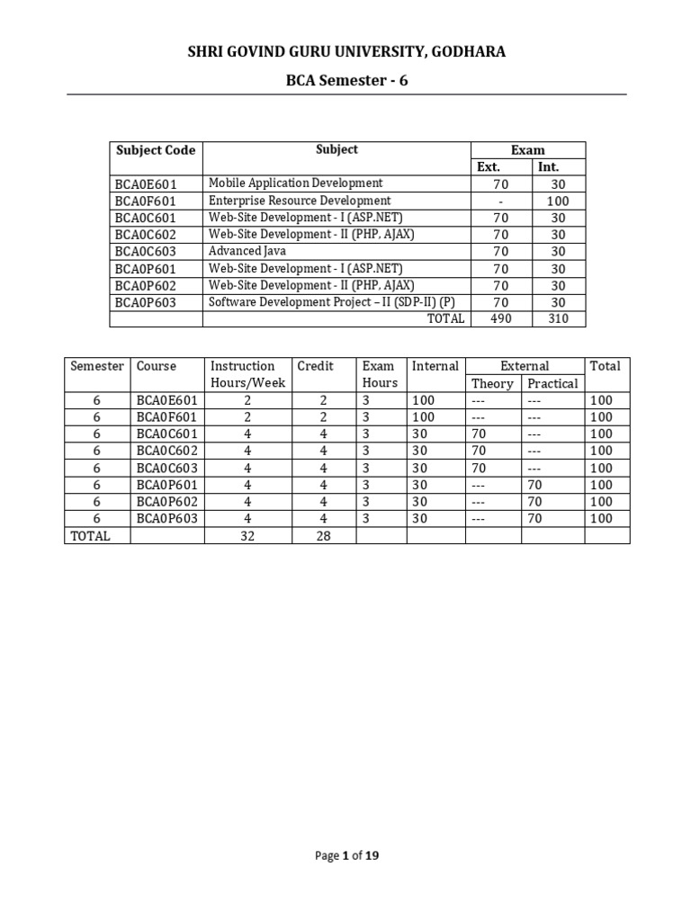 BCA Semester 6 Syllabus Overview | PDF | Enterprise Resource Planning ...