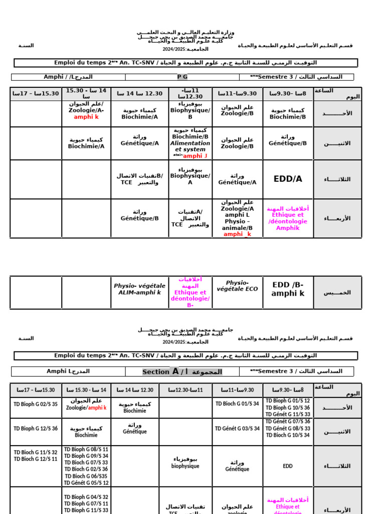Emploi Du Temps 2ème Anneé S3 2024-2025 19-09-2024 | PDF