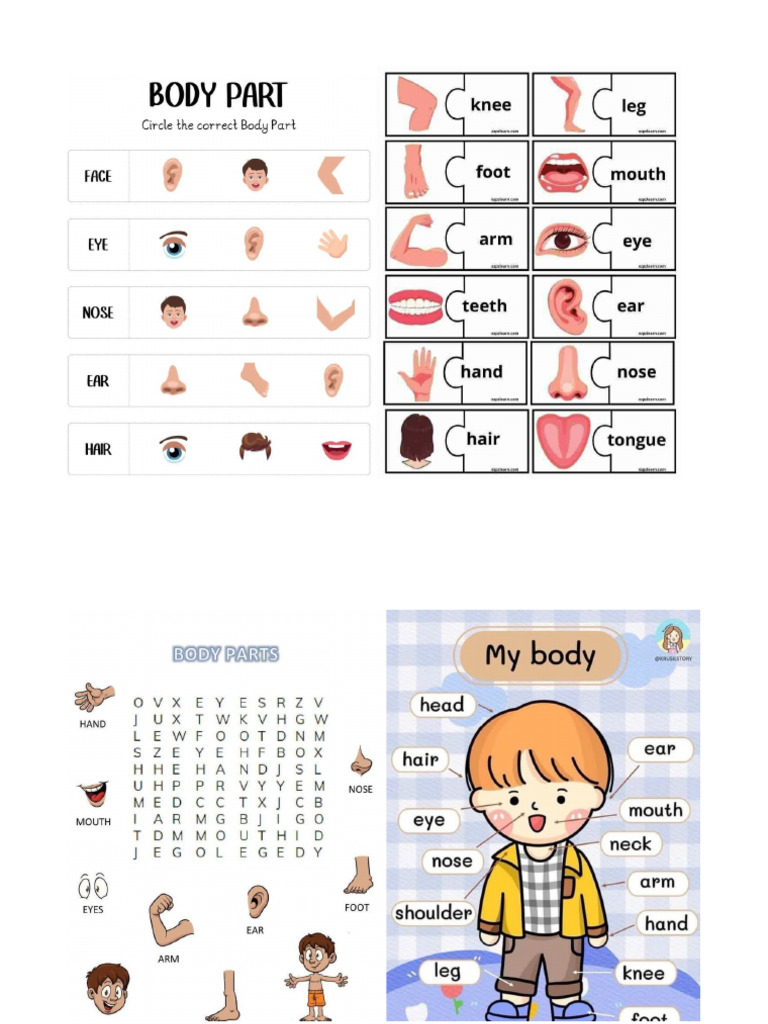 Bodyparts | PDF