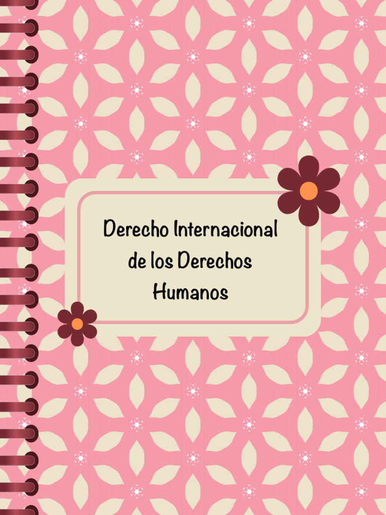 Derecho Internacional de Los Derechos Humanos | PDF | Caso de ley | Tratado