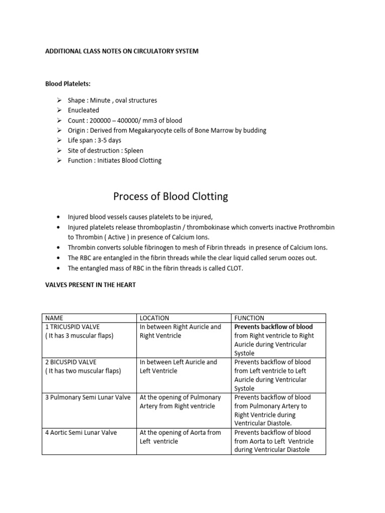Circulatory System Overview and Functions | PDF | Heart Valve | Heart